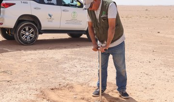 Saudi center maps 246 areas to fight desertification