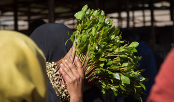 Saudi authorities foil attempt to smuggle 160kg of qat