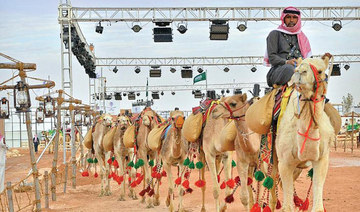 Saudi Culture Ministry launches camel studies grant