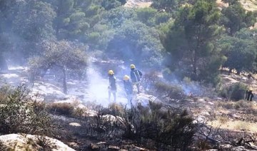 Major blaze rips through northern Jordan