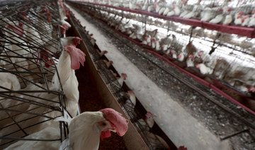 Bird flu spreads to tenth Australian poultry farm