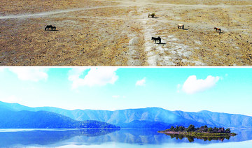 Drought-hit lakes in Chile come back to life after downpours