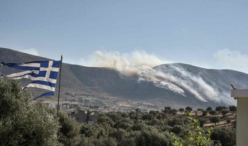 Wildfire fanned by strong wind rages in forest area near Athens