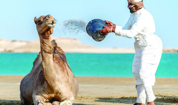 UNESCO-inscribed oral tradition of Alheda’a reflects enduring bond between Arabs and camels