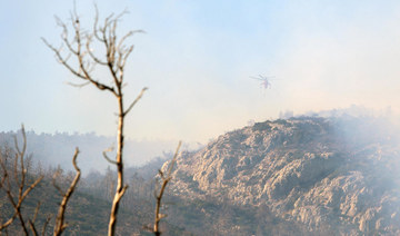 Greece fights dozens of wildfires in ‘most difficult day of year’
