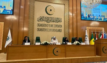 ‘Many challenges’ in combating Islamophobia, protecting human rights: top OIC official