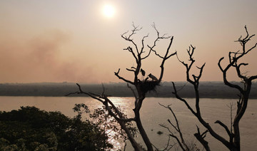 Brazil’s Amazon saw worst 6 months of wildfires in 20 years: official