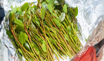 Saudi border guards seize over a ton of qat