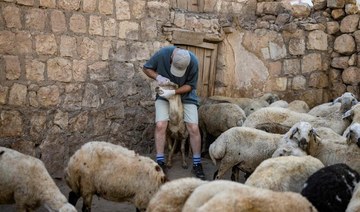 Turkish volunteer fights to save fire-scarred sheep