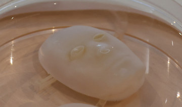 Say cheese: Japanese scientists make robot face ‘smile’ with living skin