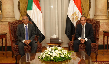 Egypt reiterates unwavering support for stability and security in war-torn Sudan