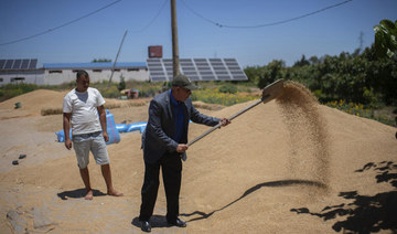 Climate change imperils drought-stricken Morocco’s cereal farmers and its food supply