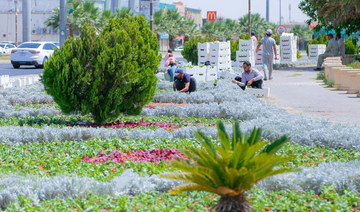 Tabuk is undergoing something of a facelift, thanks to the city municipality’s efforts to enhance the urban landscape.