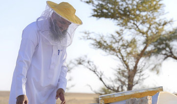The authority aims to engage the local community in beekeeping and create job opportunities. (SPA)