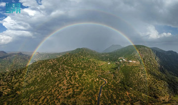 ‘Lady of Trees’ are nature’s sentinels in Sarawat Mountains