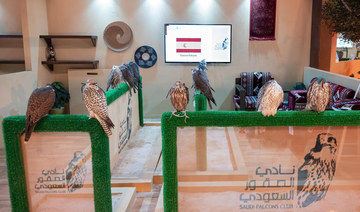 Top Spanish falcon farm joins Riyadh auction