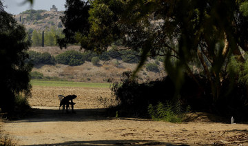 UN refugee agency accuses Cyprus government of pushing asylum seekers into a UN buffer zone