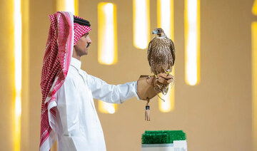 British architect brings 13 birds to Riyadh falcon auction