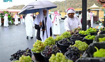 Saudi markets overflowing with 11 types of locally produced fruit