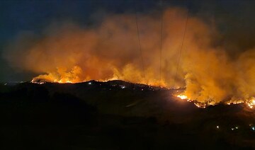 Firefighters battle to contain three wildfires in western Turkiye