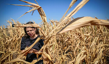 Iulia Blagu, 39, a local farmer poses in a dry-out corn field of her farm nearby Urziceni, July 29, 2024. (AFP)