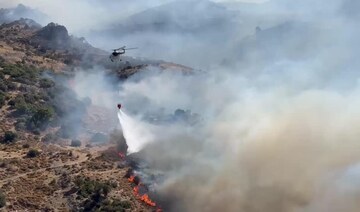 Hundreds evacuated as forest fire rages in Turkiye