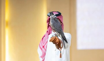 Successful auction for Yas Falcons