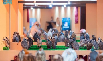 British farm offers 17 gyr falcons at International Breeders Auction