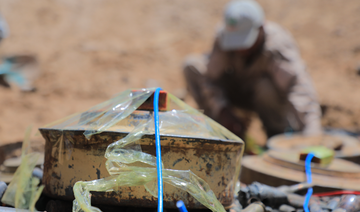 Saudi project clears 1,047 Houthi mines in Yemen