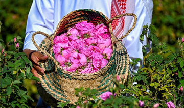 Saudi Arabia localizes rose cultivation to boost agriculture