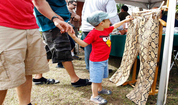 Hundreds of Everglades hunters net just 68 pythons