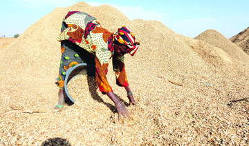 Chinese appetite makes peanuts the new ‘gold’ in Senegal