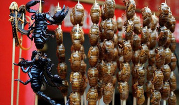 Sting in the tail: Italian customs seize 600 scorpions