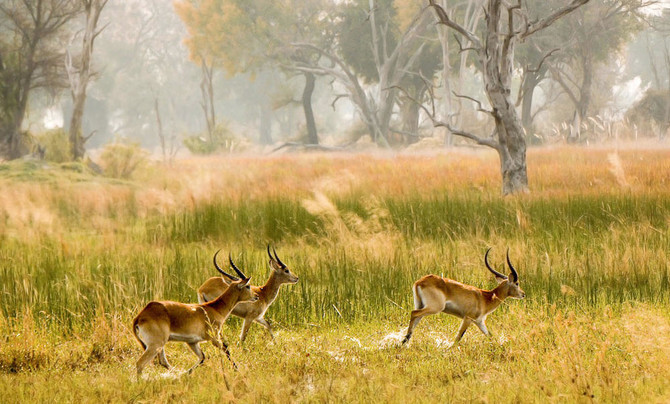 zimbabwe landscape