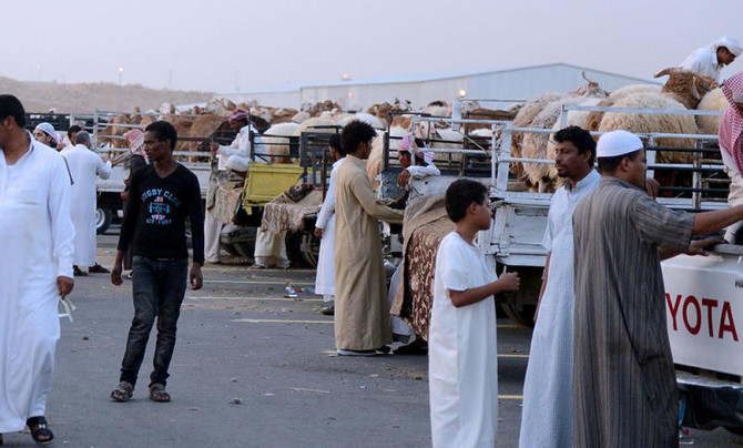 Sharjah+Livestock+Market+to+welcome+its+visitors+for+Eid+al-Adha