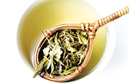 Why white tea is the next green tea