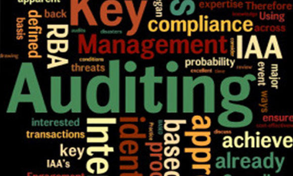 Govt to take strict action against errant audit firms