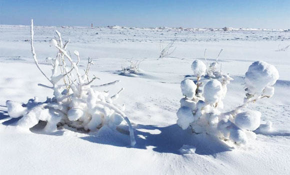 Snow grounds flights at Turaif