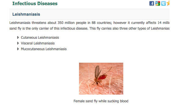 Cases of sandfly disease are ‘on the rise’ in KSA