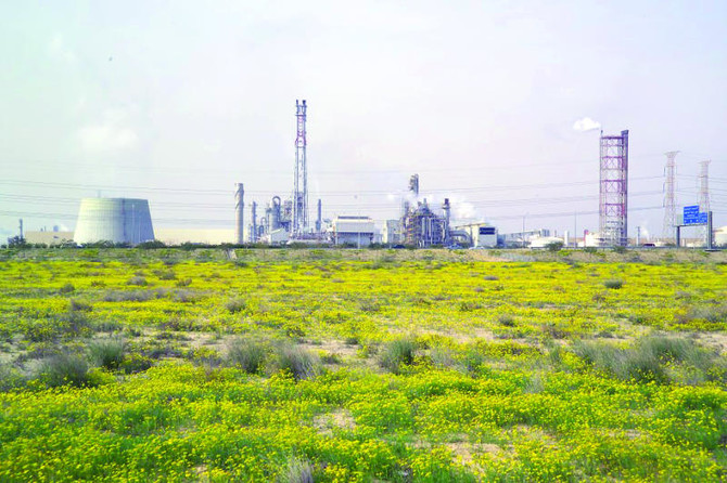 Jubail Industrial City sets trend in environmental planning