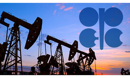 OPEC: Oil price recovery not backed by fundamentals