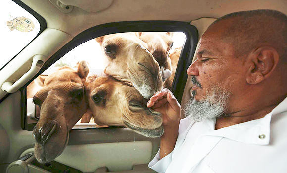 Camel meat lovers undeterred by MERS