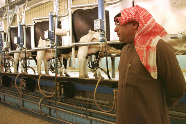 largest dairy farm in the world saudi arabia