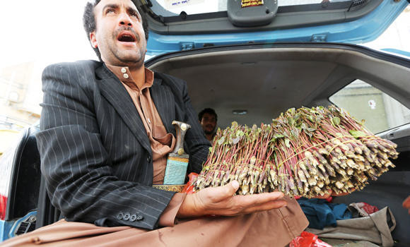 Despite conflict, demand for qat still strong in Yemen