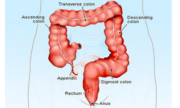 Need for early detection of colorectal cancer urged | Arab News