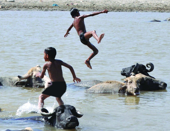 Over 500 dead as heat wave hits India