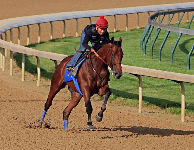 American Pharoah gets 1st work in since winning Preakness