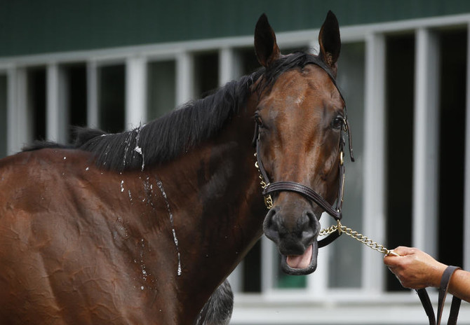 Triple Crown hopeful American Pharoah is Belmont favorite