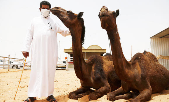 Govt to talk with camel owners on MERS measures