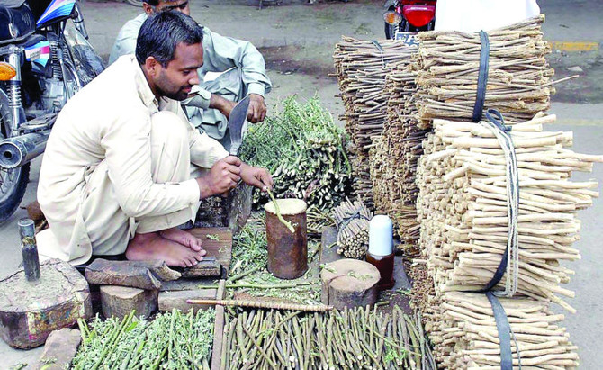 Miswak couldbe a non-oilexport item